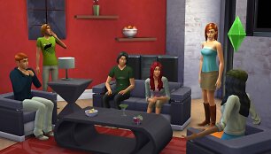 Žaidimo &bdquo;The Sims 4&ldquo; kadras