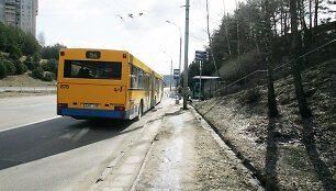Vie&scaron;asis transportas