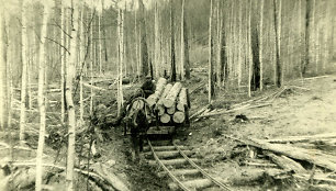 Lietuviai tremtyje. Su arkliuku bėgiais veža mišką. Novostrojka, Zaigrajevo r., Buriat-Mongoljos ASSR (d. Buriatijos respublika), apie 1955-1956 m.