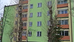 Augustave po renovacijos namai dažomi įvairiomis spalvomis