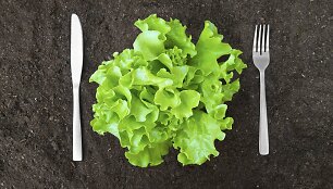 Ekologi&scaron;kas maistas