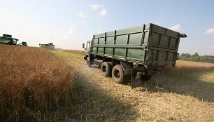 Joni&scaron;kio rajone javų laukais rieda kombainai
