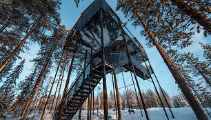 &Scaron;vedijoje veikiančiame vie&scaron;butyje &bdquo;Treehotel&ldquo; pastatytas &bdquo;7-asis numeris&ldquo;