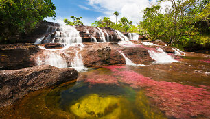 Cano Cristales upė