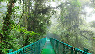 Monteverde parkas