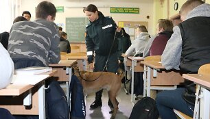 Klaipėdoje policijos pareigūnai su &scaron;unimi tikrino vieną profesinę mokyklą ir bendrabutį.