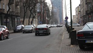 Klaipėdoje i&scaron;kertamos senosios liepos centrinėje Liepų gatvėje.