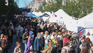 Festivalio „Sostinės dienos 2013“ akimirka 