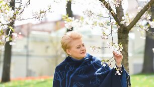 2015-04-24 Dalia Grybauskaitė prie žydinčių sakurų Prezidento rūmų parke