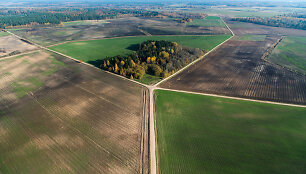 Shutterstock (1)