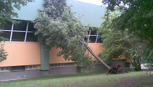 Utena po audros