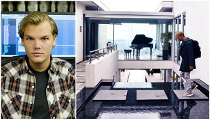 Avicii savo namuose Los Andžele