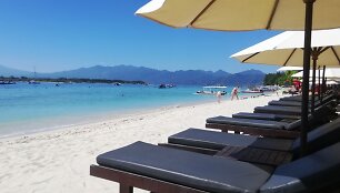 Gili saloje