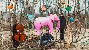 Grupė &bdquo;The Pink Elephant&ldquo;