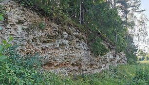 Muori&scaron;kių dolomito atodanga
