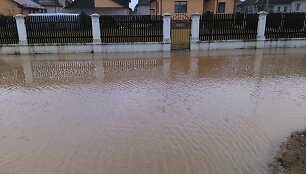 Ąžuolų takas Tauragėje