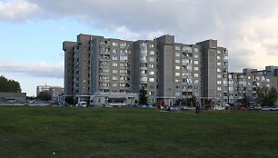 Pilaitė
