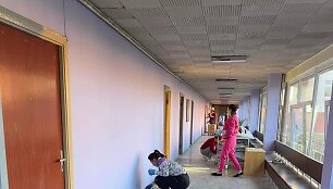 Visa mokyklos bendruomenė susitelkė ir padarė viską, kad Tarptautinė ukrainiečių mokykla Klaipėdoje gautų higienos pasą ir kartu akreditaciją veikti.