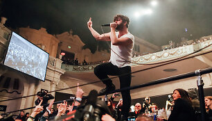 &bdquo;Foals&ldquo;