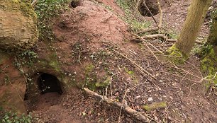 Nežymus praėjimas veda į milžinišką tamplierių ordino urvą Šropšyre