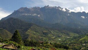 Kinabalu kalnas.