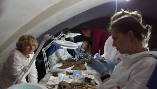 Istorikai, antropologai ir paveldo i&scaron;saugojimo specialistai tyrinėjo kunigaik&scaron;čių Radvilų mauzoliejaus palaikus ir įkapes. Dr. Salvijaus Kulevičiaus nuotrauka