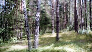 Juliaus Kur&scaron;io fotografija &bdquo;Skraistė&ldquo;.