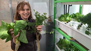 &bdquo;MIT CityFARM&ldquo; laboratorija