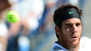 Juanas Martinas del Potro