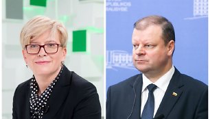 Ingrida Šimonytė, Saulius Skvernelis