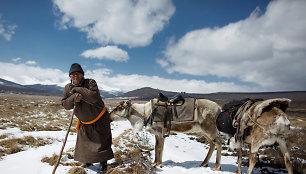 Elnių piemenys Mongolijoje
