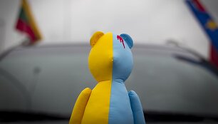 Automaidano akcija Vilniaus gatvėse
