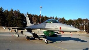 Naikintuvai F-16 ir kiti JAV lėktuvai jau Lenkijoje