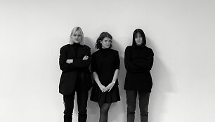 Projekto autorės Jonė Virbickaitė, Kotryna Bajorinaitė, Aurelija Kniuk&scaron;taitė