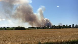 Kauno rajone degė 200 hektarų javų laukas