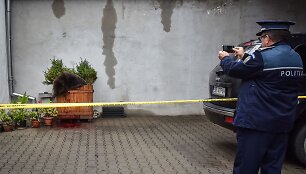 Rumunijoje nu&scaron;auta rudoji me&scaron;ka