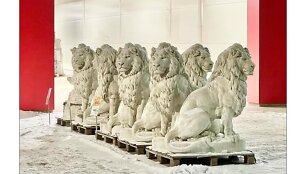 Irmanto Kovaliovo nuotr.