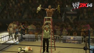 Imtynių žaidimo &bdquo;WWE 2K14&ldquo; kadras