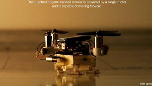 the-picobug-a-mesoscale-robot-that-can-run-fly-and-grasp