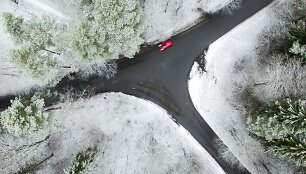 Sniegas užklojo Vilnių balta antklode