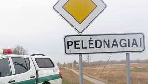 Pelėdnagiai