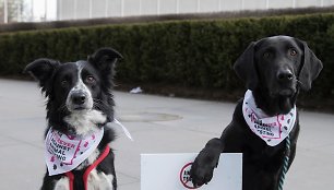 Protestas dėl bandymų su gyvūnais