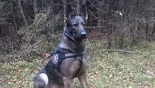 Keturkojė VSAT pareigūnė Dora