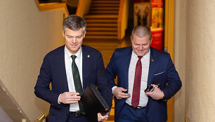 Remigijus Baltrėnas