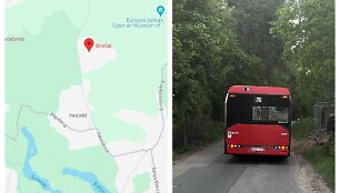 Bireliai ir jų vienintelis autobusas