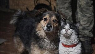 Ukrainiečių i&scaron;gelbėtas &scaron;uo ir katė