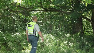 Policija ieško pasiklydusių grybautojų.