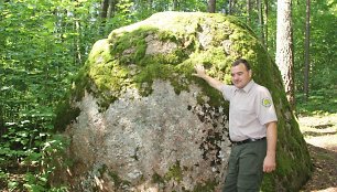 Stambiausias riedulys Ožakmenis dar vadinamas Rokiškio Puntuku. Prie legendomis apipinto akmens – girininkas Vidmantas Šarkambiškis