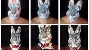 Zuikio makiažas 