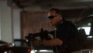 Arnoldas Schwarzeneggeris 